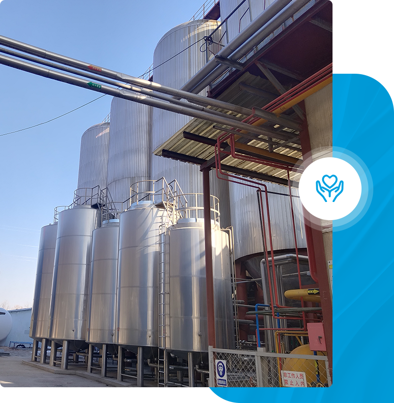 Supplier Biru Point Lager Biru