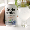 OEM自有品牌·罐裝異國情調有機起泡蘇打軟飲料