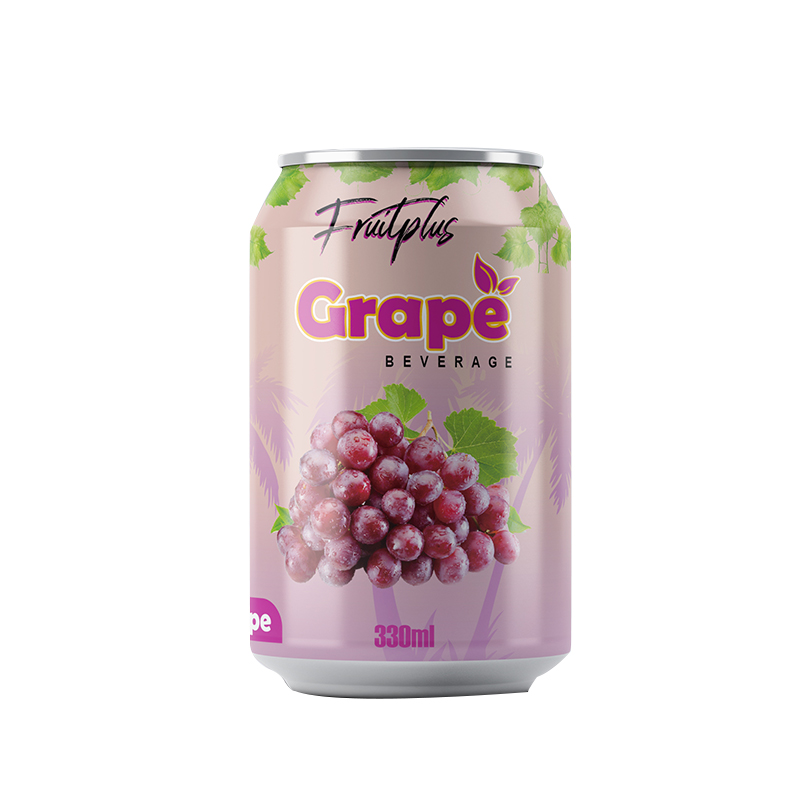  OEM 混合器天然果味真正新鮮碳酸起泡軟飲料罐裝